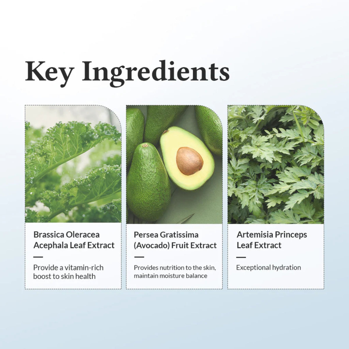 “Key ingredients of Dr. Althea 147 Barrier Cream including kale leaf extract for vitamins, avocado fruit extract for nutrition and moisture balance, and artemisia leaf extract for exceptional hydration.
