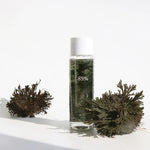 Dr. Althea 85% Anastatica Skin Conditioning Toner — hydrating vegan toner with resurrection plant extract