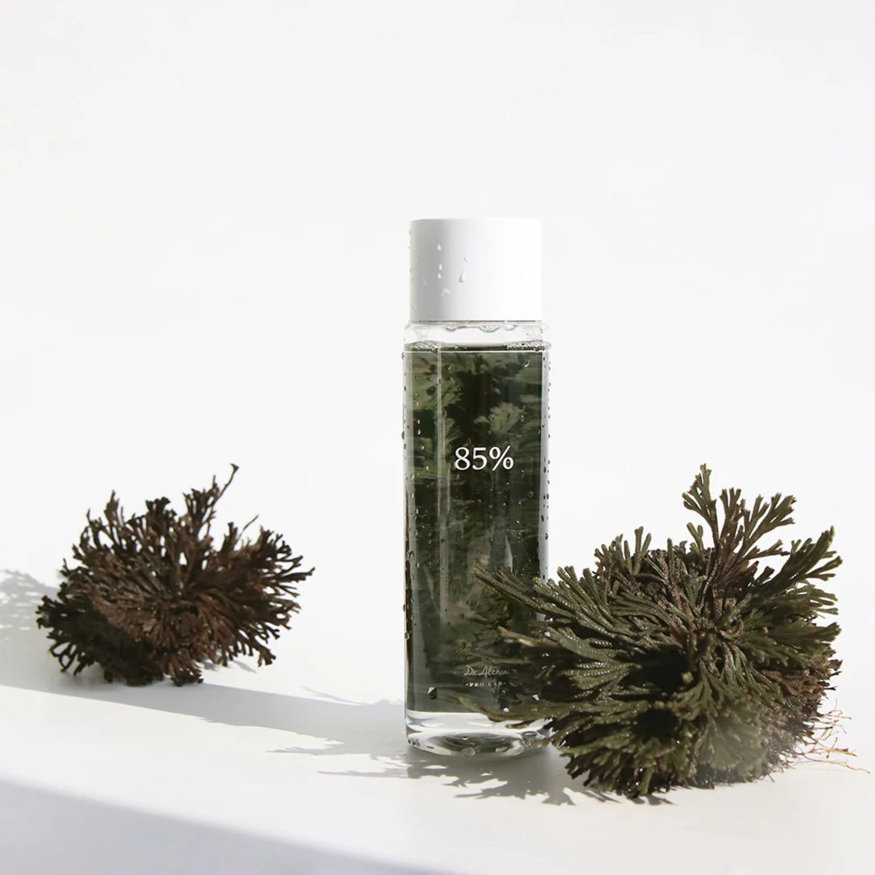 Dr. Althea 85% Anastatica Skin Conditioning Toner — hydrating vegan toner with resurrection plant extract